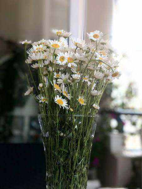 Droogbloemen project 2