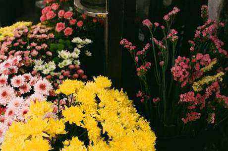 Droogbloemen project 3